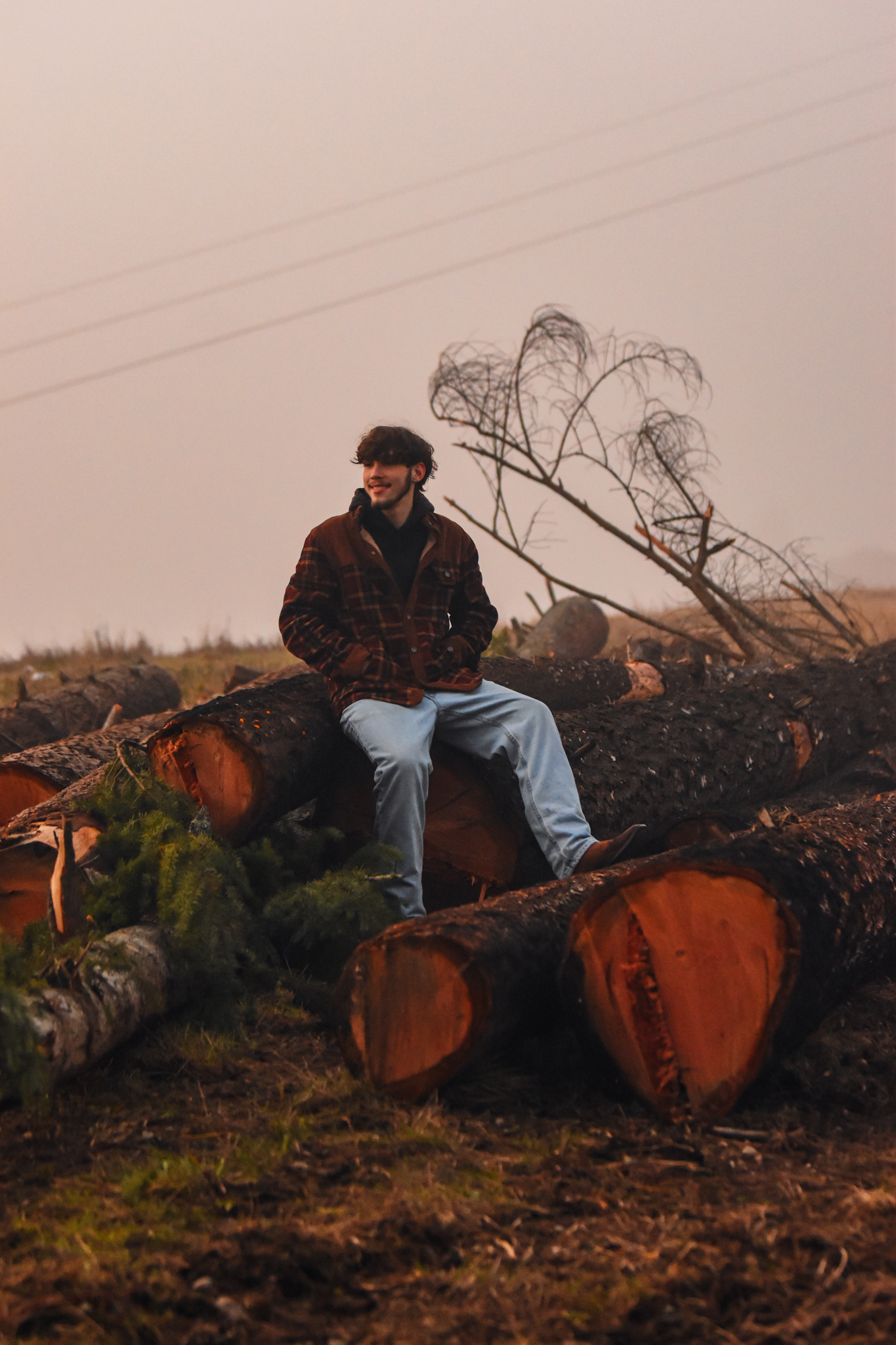 Man seated on a stack of freshly cut logs at dusk