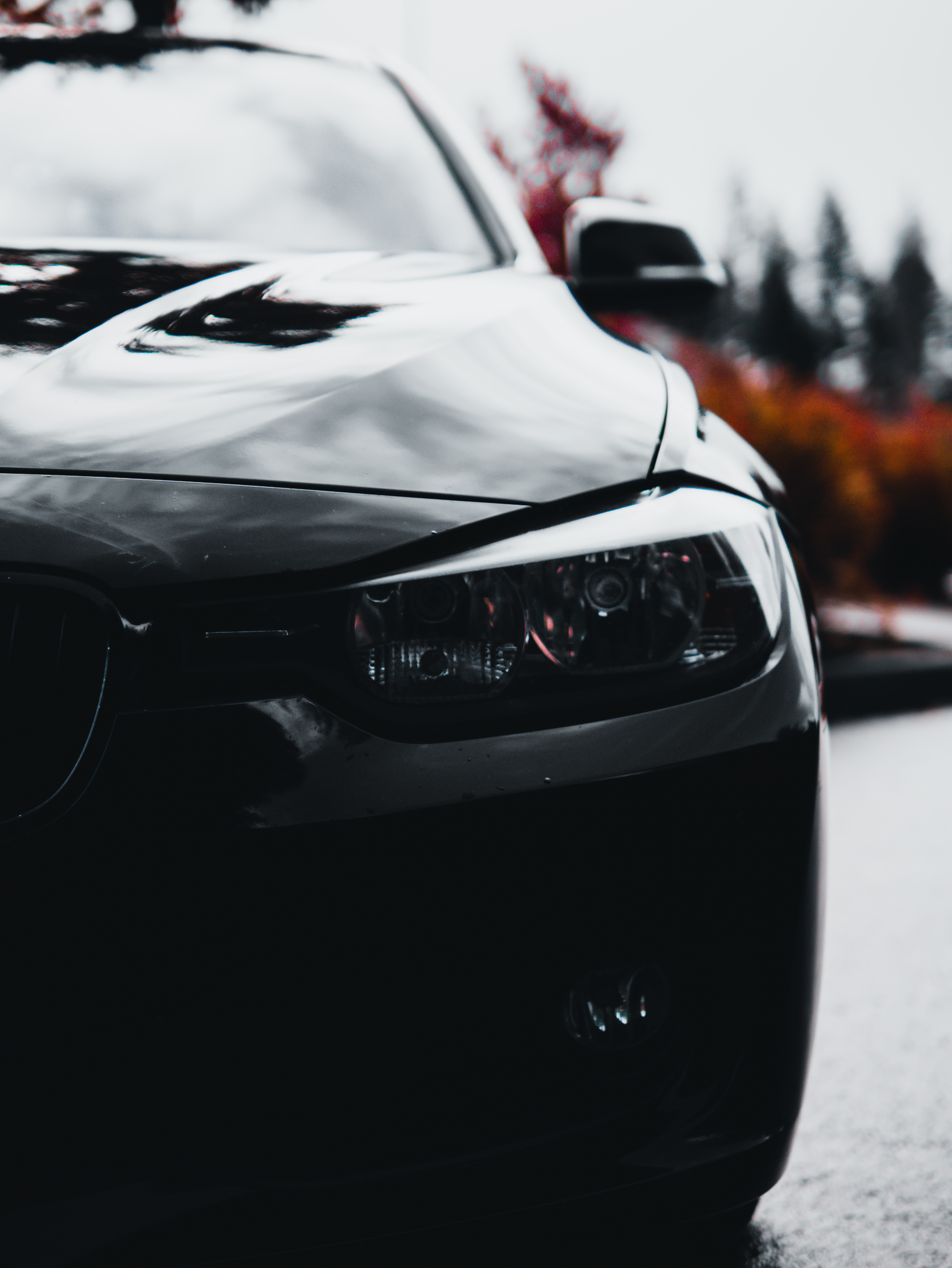 Close-up of the headlight and grille of a black BMW sedan
